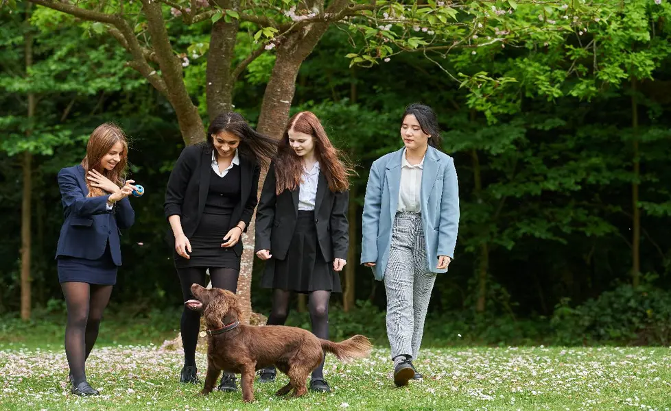 Students walking with dog